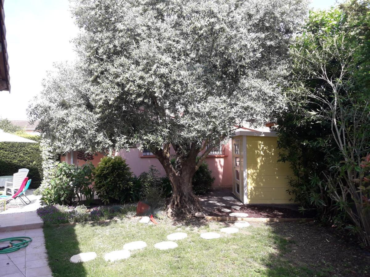Les Cypres Florentins Colomiers Bagian luar foto